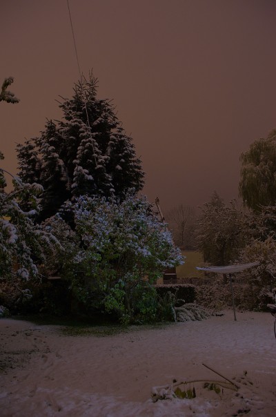 Wintereinbuch Oktober 2012