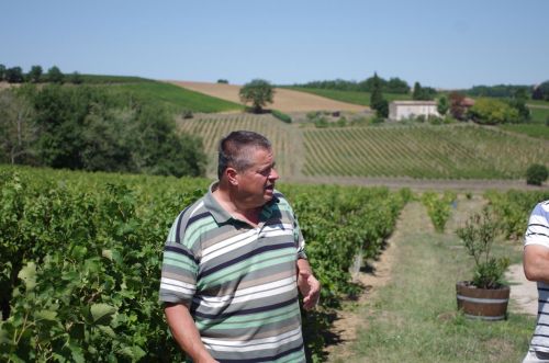 der Winzer Lucas Schutte, ein sehr nettes Sprachgenie