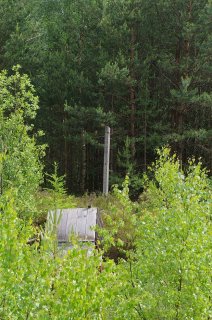 Reste der Grenzanlage