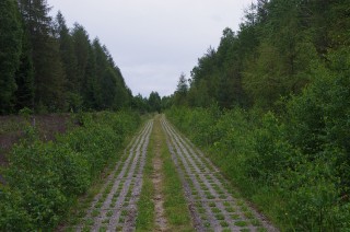 Ehemaliger Kolonnenweg an der Innenseite der Grenze