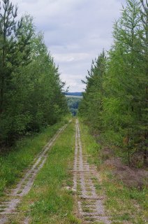 Ehemaliger Kolonnenweg direkt neben der Grenzlinie (Grenzwanderweg)