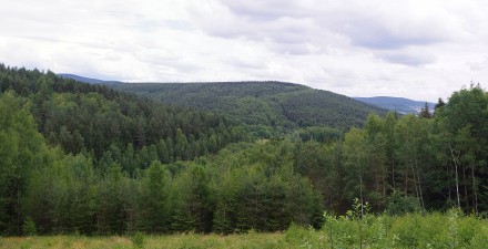 Blick vom Krummen Stein Richtung Generalsblick