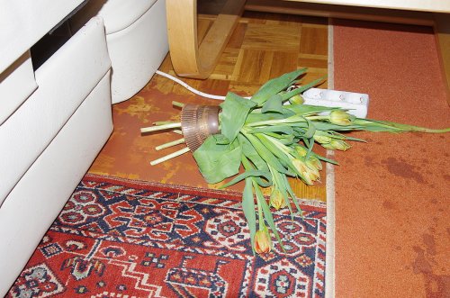 [:de] Der Hals der Vase hat sich noch nicht aufgelöst.[:en]The neck of the vase has survived[:]