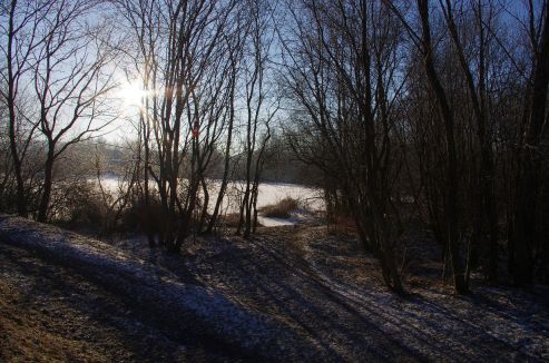 imgp0270