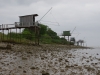 Fischerhütte an der Gironde
