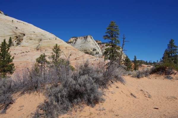 [:de]Zion Nationalpark, Arizona[:en]Zion-NP in Arizona[:]
