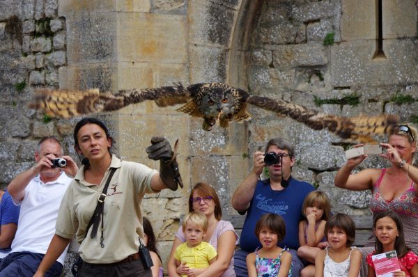 [:de]Wenn der Uhu fliegt, ist das ausder Nähe ein sehr imposanter Eindruck[:en] The flying eagle owl is a very impressing view.[:]